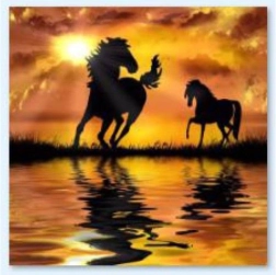 Mozaika diamentowa (diamond painting) Konie – zachód słońca 30 × 30 cm - 1 sztuka