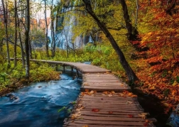 Puzzle RAVENSBURGER Tajemniczy las 1000 elementów