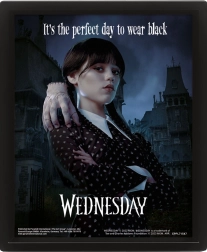 Obraz 3D Wednesday