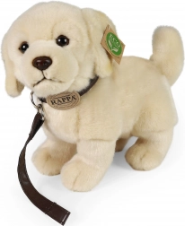Pluszowy pies Golden Retriever z smyczą 25 cm