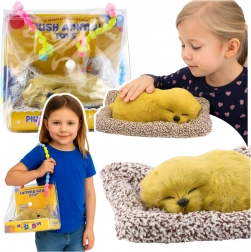 Śpiący labrador na poduszce z miękkim futerkiem i dźwiękami