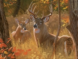 Puzzle Tajne spotkanie XL 275 elementów COBBLE HILL