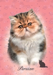 Puzzle Perski kot 100 elementów