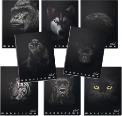 Zeszyt szkolny A4 Monocromo czarny