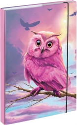 Teczki na zeszyty szkolne A4 z motywem sowy BAAGL