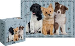 Puzzle Młode zwierzęta: szczenięta 250 elementów