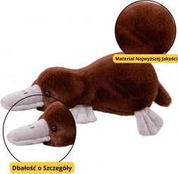 Brązowa pluszowa zabawka dziobak 32 cm