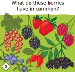 Yummy! edukacyjna gra o zdrowym odżywianiu dla dzieci od 3 lat