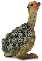 Kurczak Strusia Siedzący Collecta