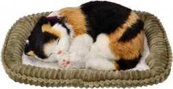 Oddychające trójkolorowe kociątko na legowisku