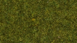 Trawa statyczna Łąka 4 mm