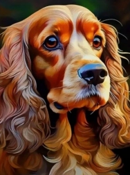 Diamentowe malowanie cocker spaniel 30 × 40 cm