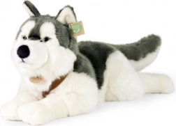 Pluszowy pies Husky 60 cm ECO FRIENDLY