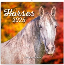 Notesowy kalendarz Konie 2025 od Christiane Slawik 30 × 30 cm