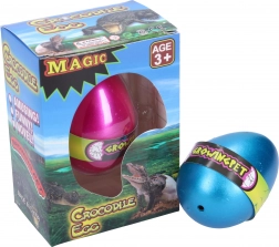 Rosnące jajko krokodyla 6,5 cm