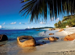 Ravensburger puzzle Pod palmami 1000 elementów