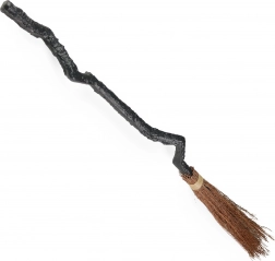 Czarodziejska miotła