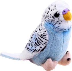 Maskotka niebieska papuga