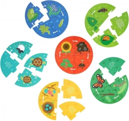 Petit Collage Puzzle Odkrywcy Cykl życia