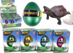 Magiczne jajko z rosnącym żółwiem 6 cm