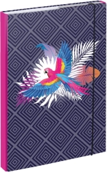 Teczki na zeszyty szkolne A4 Papuga