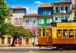 Puzzle lato w porcie 1000 elementów BLUEBIRD