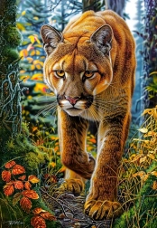 Castorland Puzzle Puma w Lesie 1500 Elementów