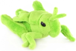 Pluszowa konik polny