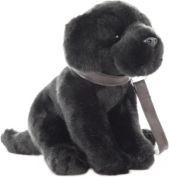 Pluszowy labrador ze smyczą 30 cm – eco friendly
