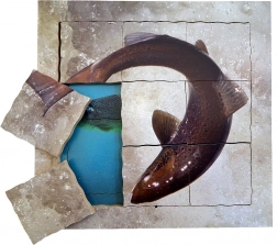 Just Jigsaws Łosoś i jego cykl życiowy - drewniane warstwowe puzzle