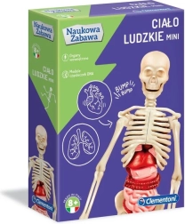 Naukowy zestaw: ludzkie ciało mini