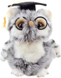 Pluszowa sowa Absolwent