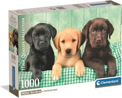 Puzzle 1000 Clementoni – trzy labradory HQC
