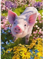 Cherry Pazzi puzzle Lubisz mnie? 500 elementów