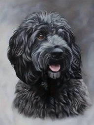 Diamentowe malowanie czarny cockapoo 30 × 40 cm