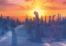 Puzzle Fińska przyroda 1000 elementów