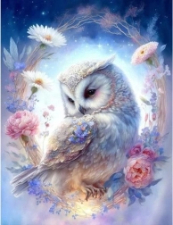 Malowanie po numerach Biała sowa 40 × 50 cm