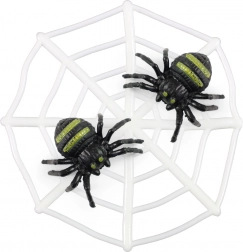 Pajęczyna z pająkami