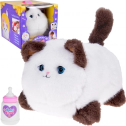 Interaktywna kotka Puszek – miauczy, mruczy i porusza oczkami