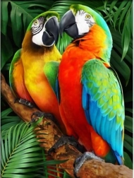 Mozaika diamentowa (diamond painting) Kolorowe papugi 30 × 40 cm
