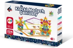 Klocki Konstrukcyjne Geometryczne Płatki Śniegu - 224 elementy