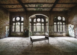 Puzzle Zaginione miejsca: Opuszczona komnata 1000 elementów