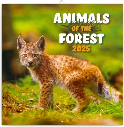 Kalendarz notatkowy Zwierzęta z lasu 2025, 30 × 30 cm