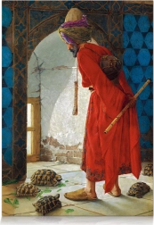 STAR puzzle treser żółwi – 1000 elementów