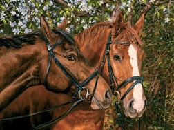 Puzzle Przyjaciele na zawsze XL 275 elementów od Cobble Hill