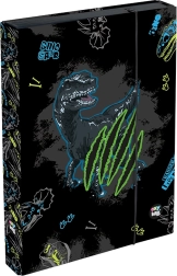 Pudełko na zeszyty A4 Jumbo OXY GO Dino