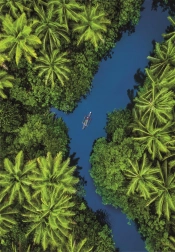 Puzzle z tropikalnym widokiem z lotu ptaka