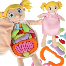 Pluszowa anatomiczna lalka Montessori dla dzieci