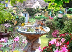 Puzzle Letnie ptactwo 1000 elementów