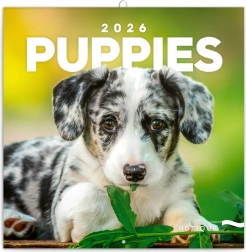 Kalendarz z notatkami Szczeniaki 2026